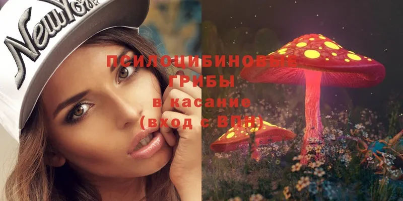 Псилоцибиновые грибы Psilocybe  Клинцы 